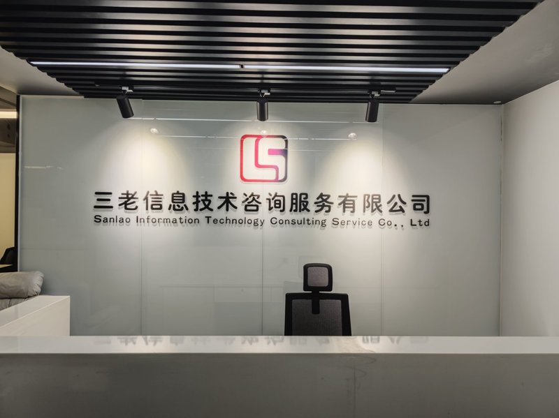 访谈记录:深度剖析中国软件开发公司的行业格局