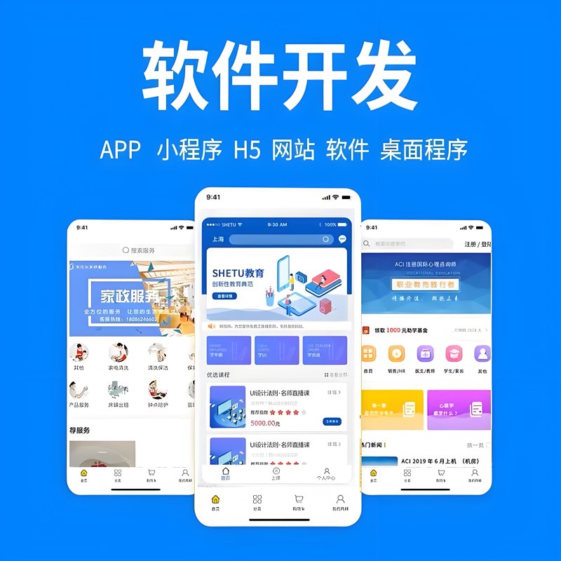 访谈记录:深度剖析全球软件开发公司的前十大强